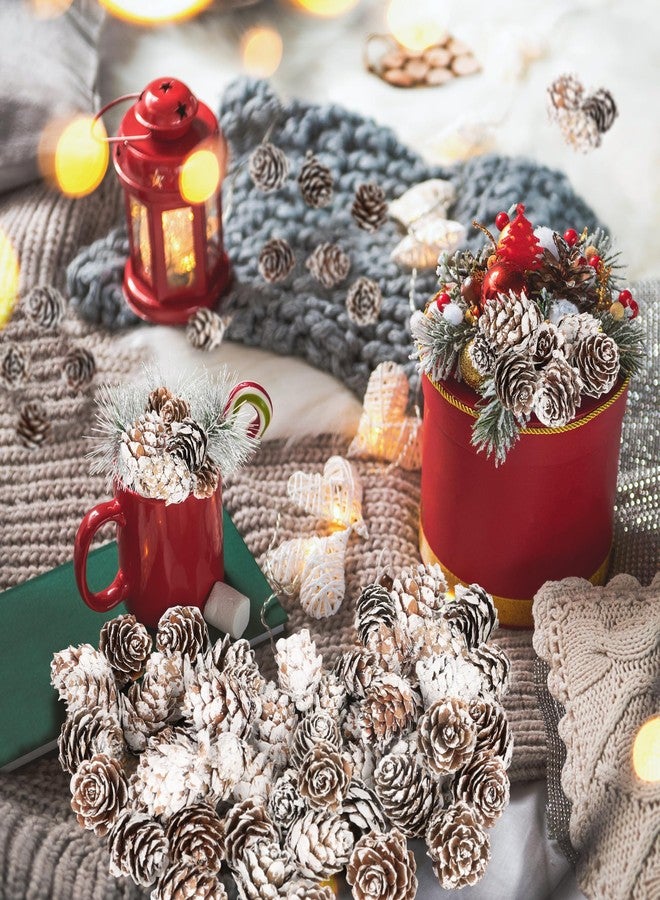 Helimoto 100 Pcs Snow Pine Cones, Mini Pinecones for Craft, Natural Cones Wreath, Christmas Bowl Stuff Winter Decorations Decor Accessories Party Suppliesfor Home Indoor Vase Filler - Image 5